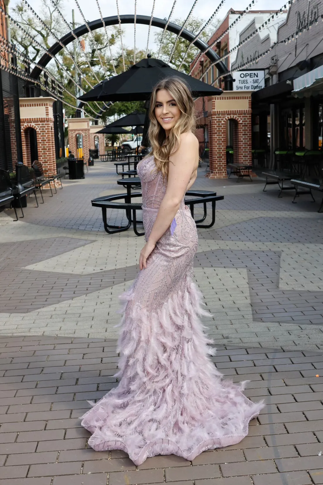 Matiyah Embellished & Feathered Gown