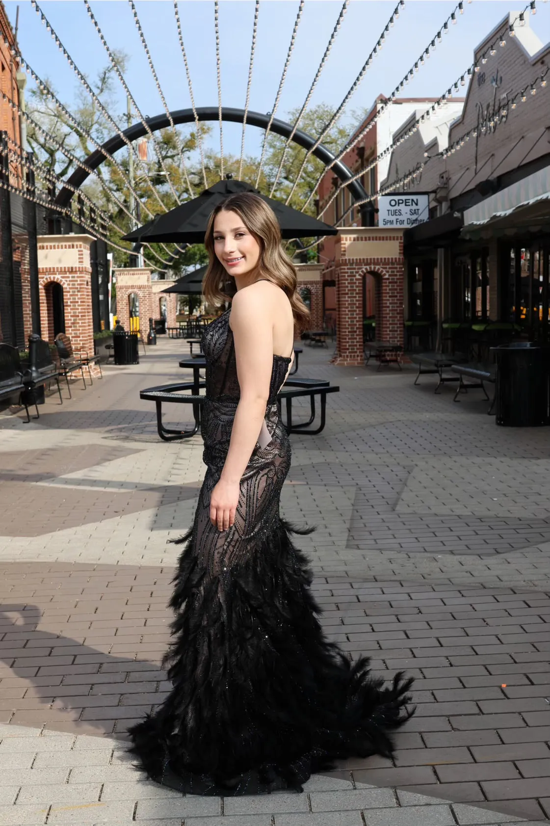 Matiyah Embellished & Feathered Gown